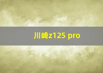 川崎z125 pro